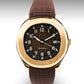 Aquanaut | Gold Brown